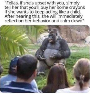 Stupid Bar Memes be0e05ae6777e414
