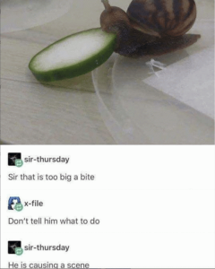 Stupid Bar Memes be8504cf1b028372