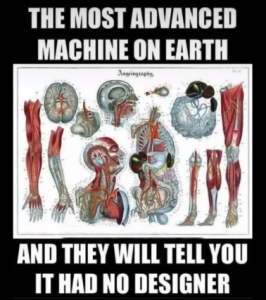 Stupid Bar Memes c3028f6e878de98d