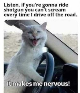 Stupid Bar Memes c4224a923acc2ffb