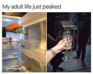 Stupid Bar Memes c52dd1e9790c31f8