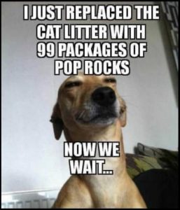 Stupid Bar Memes c53a54db928c7e2d