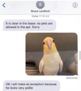 Stupid Bar Memes c616e4814fc88847