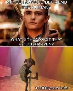 Stupid Bar Memes cab1ea678f0691f9