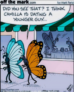 Stupid Bar Memes cc5042b3af76a7c0