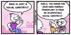 Stupid Bar Memes ccbca9c05e7ac3e5