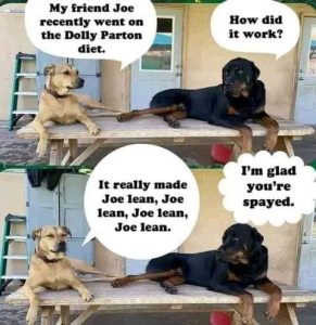 Stupid Bar Memes d02cefbff012f14f