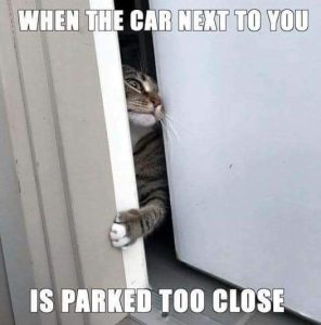 Stupid Bar Memes d843a2b48175f03f