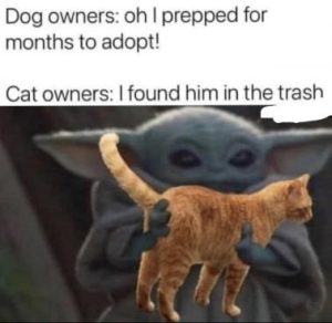 Stupid Bar Memes d8f058360b929e04