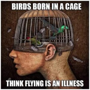 Stupid Bar Memes dd97a187f1fdfc3f