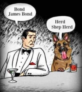 Stupid Bar Memes de97b4e61b04de3f