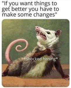 Stupid Bar Memes df3544f2feda98c4