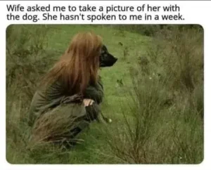 Stupid Bar Memes e3c44274d1a0ae64