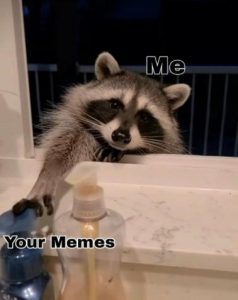 Stupid Bar Memes e58c71196ca29ba7