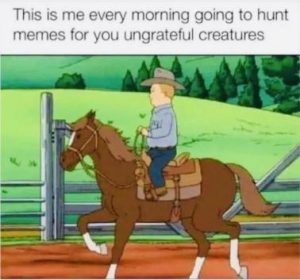 Stupid Bar Memes e93d12429082ede8