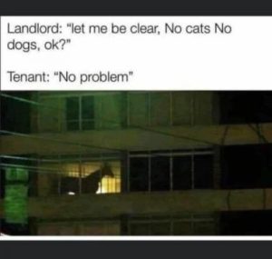 Stupid Bar Memes eb59b7e9f2afc033