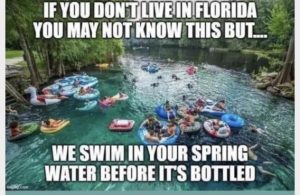Stupid Bar Memes ecd0a84faab94ead