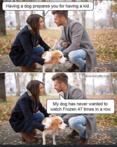 Stupid Bar Memes ee3746c4f56268fe