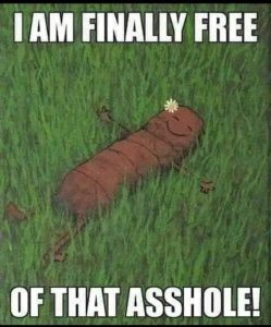 Stupid Bar Memes eeb74e70cdbe7224