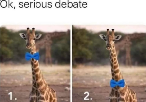 Stupid Bar Memes ef16e81ae0adf449