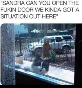 Stupid Bar Memes f6a4bc1caaf7c34a