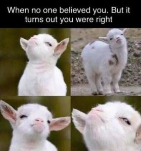 Stupid Bar Memes f8ce831854016cb5