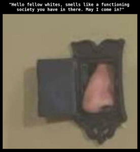 Stupid Bar Memes f914b46d26be4831