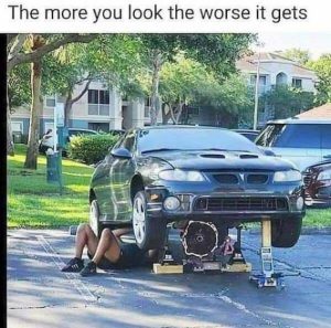 Stupid Bar Memes fbf5ead922618382
