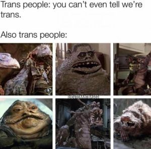 Stupid Bar Memes fc59e4e8a3b14d14