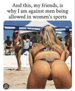 Stupid Bar Memes fcc5b9559291f166