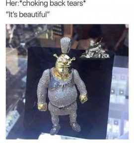 Stupid Bar Memes funnyspicss640shighs13