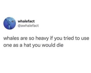 Stupid Bar Memes jSIzQ8j