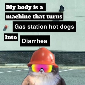 Stupid Bar Memes ycH1HPc
