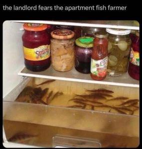 Stupid Bar Memes youresasfishsfarmersnowsHarry