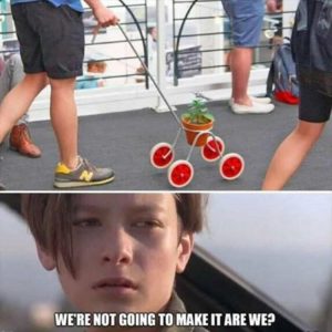 Stupid Bar Memes youresgonnasmakesit
