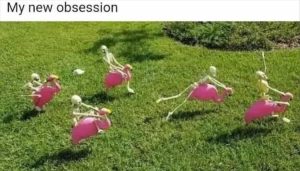Stupid Bar Memes youresknewsobbsession