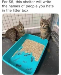 Stupid Bar Memes youresshelter