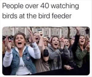 Stupid Bar Memes youreswatchingsbirds
