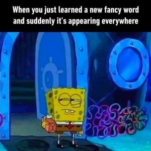 Stupid Bar Memes zsasfunnys87