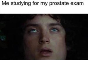 Stupid Bar Memes zsfunnys216