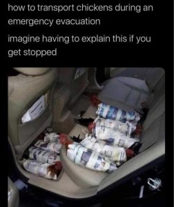 Stupid Bar Memes zsfuns123
