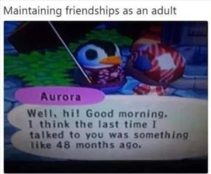 Stupid Bar Memes zsfuns123s2