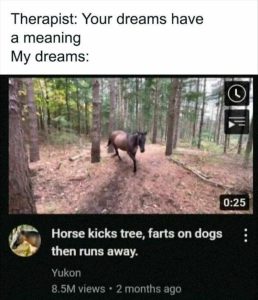 Stupid Bar Memes zsfuns125