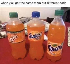 Stupid Bar Memes zsfuns16s3