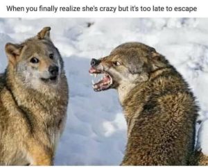 Stupid Bar Memes 00229442d9c67621