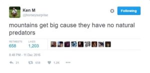 Stupid Bar Memes 06el7hN