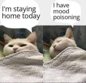 Stupid Bar Memes 08d26443adcb7aeb