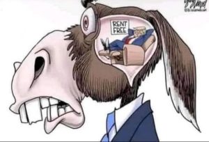 Stupid Bar Memes 0a0d48192adadfcf