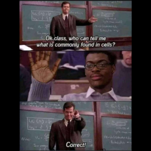 Stupid Bar Memes 0a8b66e83a8dd48e