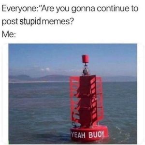 Stupid Bar Memes 0d2383994afdfe71